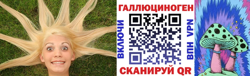 где купить наркоту Донецк Псилоцибиновые грибы MAGIC MUSHROOMS